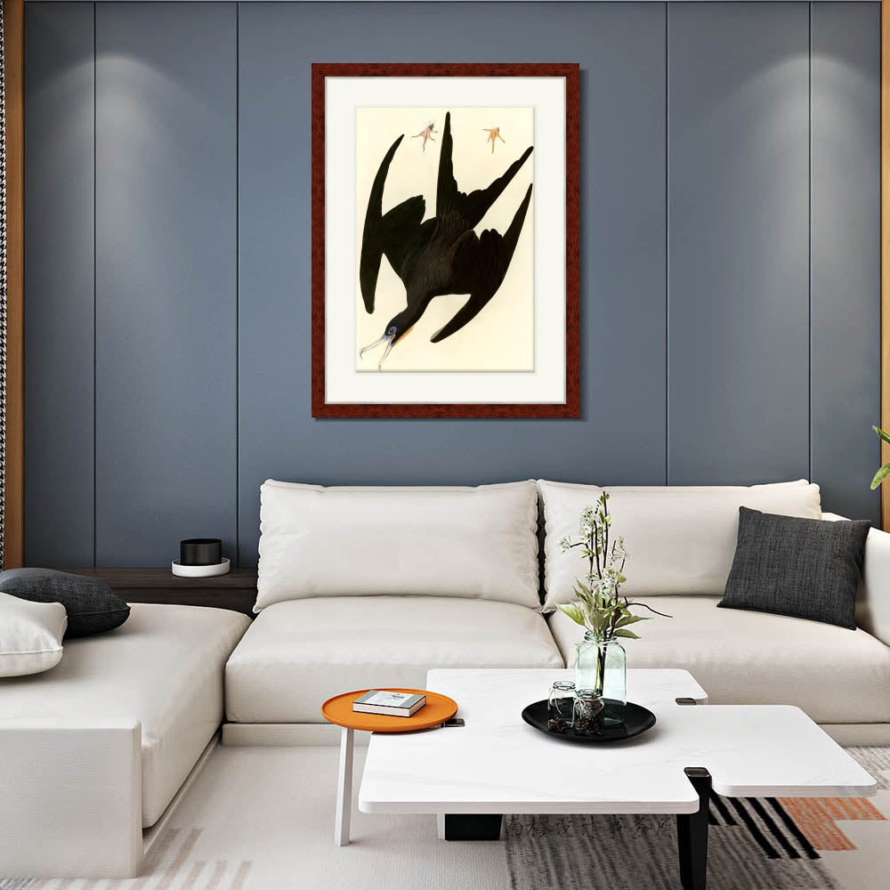 INVIN ART Framed Canvas Art Giclee Print Frigate Pelican by John James Audubon  Home Office Wall Art Decorations