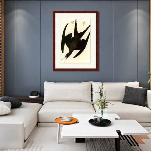 INVIN ART Framed Canvas Art Giclee Print Frigate Pelican by John James Audubon Living Room Home Office Wall Art Decorations