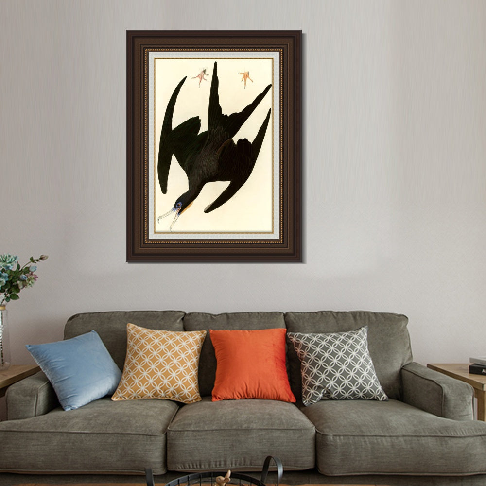 INVIN ART Framed Canvas Art Giclee Print Frigate Pelican by John James Audubon  Home Office Wall Art Decorations