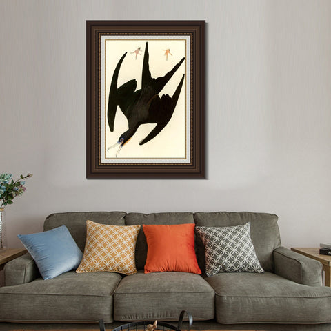 INVIN ART Framed Canvas Art Giclee Print Frigate Pelican by John James Audubon Living Room Home Office Wall Art Decorations