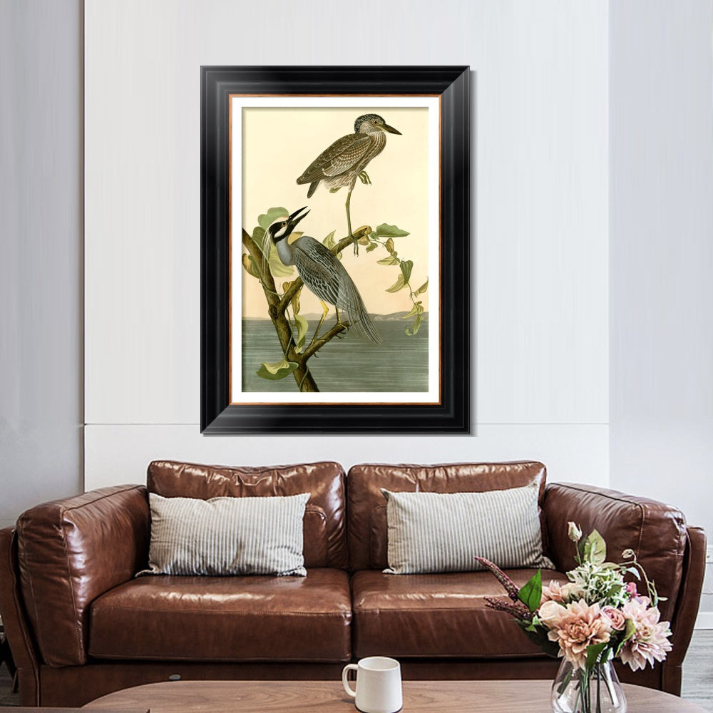 INVIN ART Framed Canvas Art Giclee Print Series#092 by John James Audubon  Home Office Wall Art Decorations