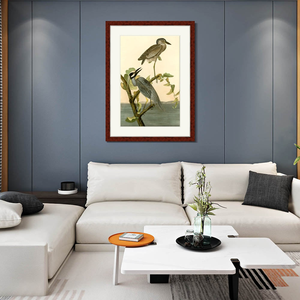 INVIN ART Framed Canvas Art Giclee Print Series#092 by John James Audubon  Home Office Wall Art Decorations
