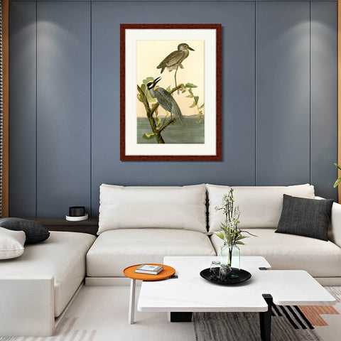 INVIN ART Framed Canvas Art Giclee Print Series#092 by John James Audubon Living Room Home Office Wall Art Decorations