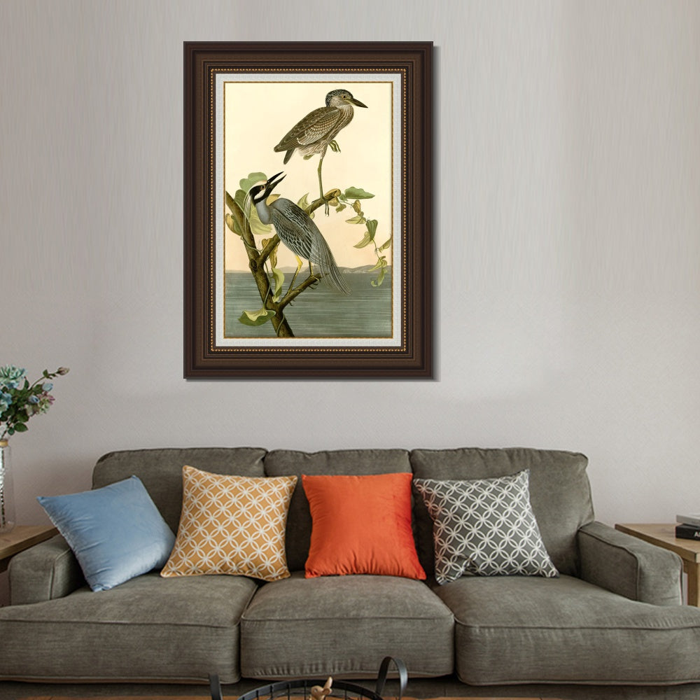 INVIN ART Framed Canvas Art Giclee Print Series#092 by John James Audubon  Home Office Wall Art Decorations