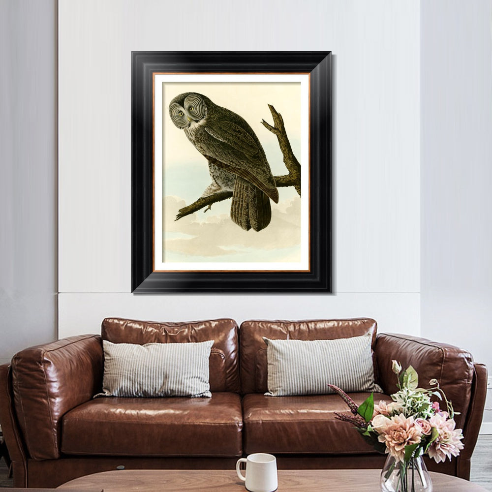 INVIN ART Framed Canvas Art Giclee Print Great Cinereous Owl by John James Audubon  Home Office Wall Art Decorations
