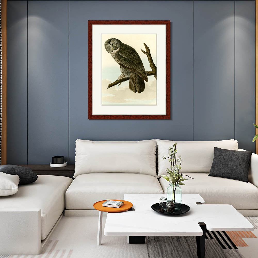INVIN ART Framed Canvas Art Giclee Print Great Cinereous Owl by John James Audubon  Home Office Wall Art Decorations