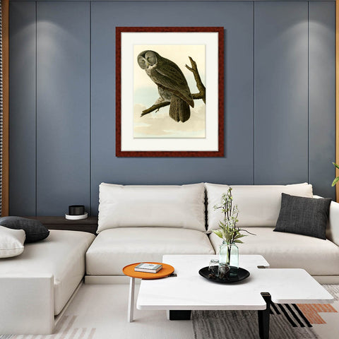 INVIN ART Framed Canvas Art Giclee Print Great Cinereous Owl by John James Audubon Living Room Home Office Wall Art Decorations