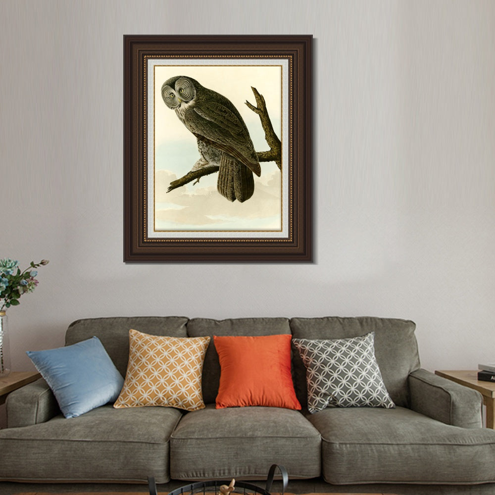 INVIN ART Framed Canvas Art Giclee Print Great Cinereous Owl by John James Audubon  Home Office Wall Art Decorations