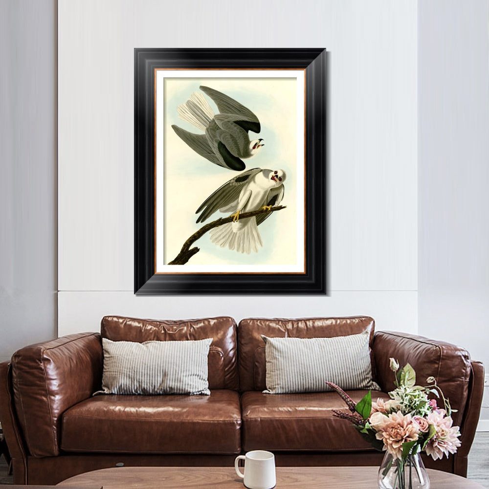 INVIN ART Framed Canvas Art Giclee Print Black Winged Hawk by John James Audubon  Home Office Wall Art Decorations