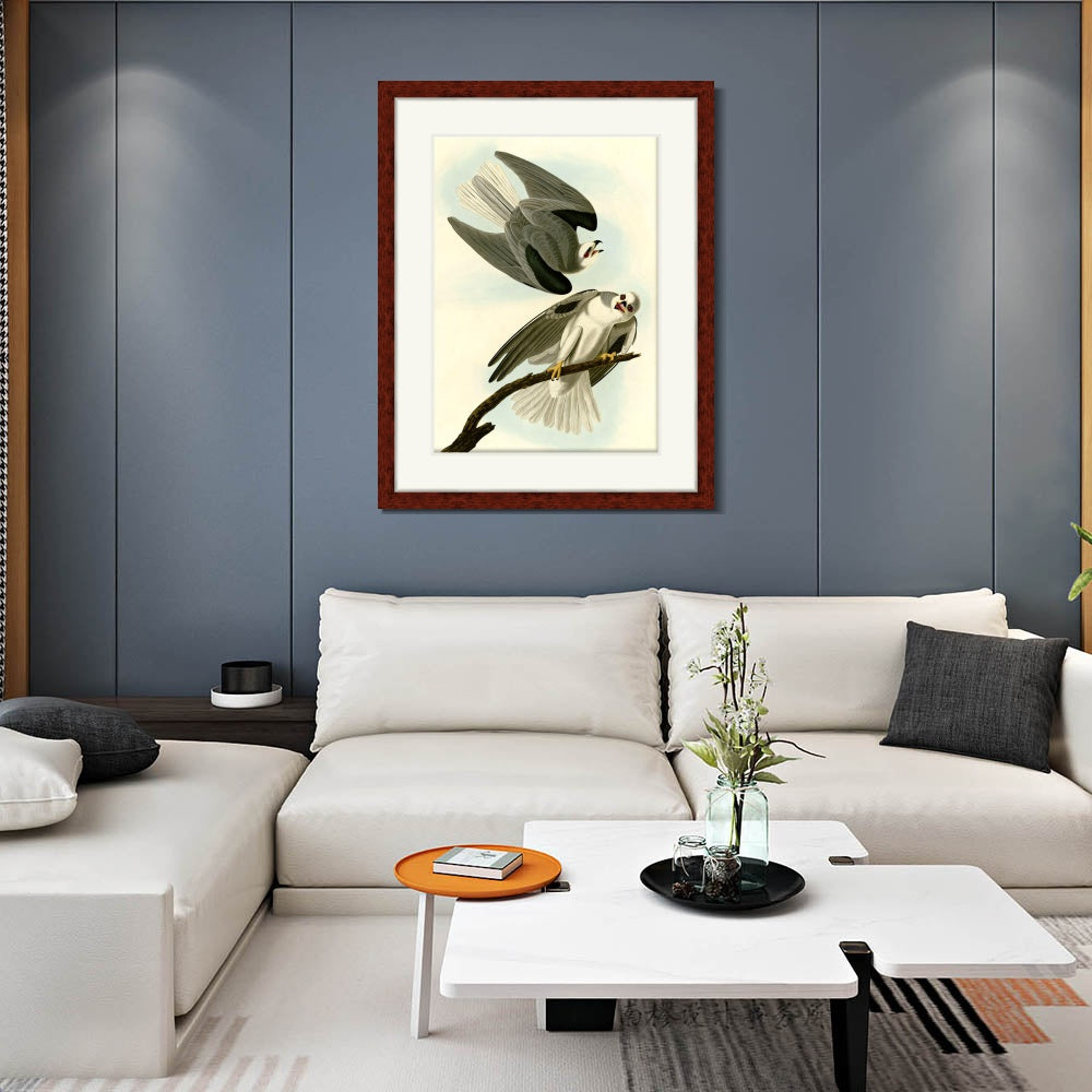 INVIN ART Framed Canvas Art Giclee Print Black Winged Hawk by John James Audubon  Home Office Wall Art Decorations
