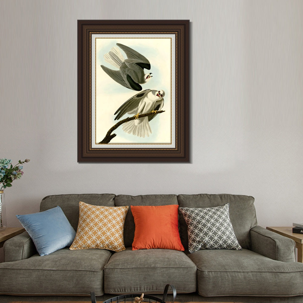 INVIN ART Framed Canvas Art Giclee Print Black Winged Hawk by John James Audubon  Home Office Wall Art Decorations