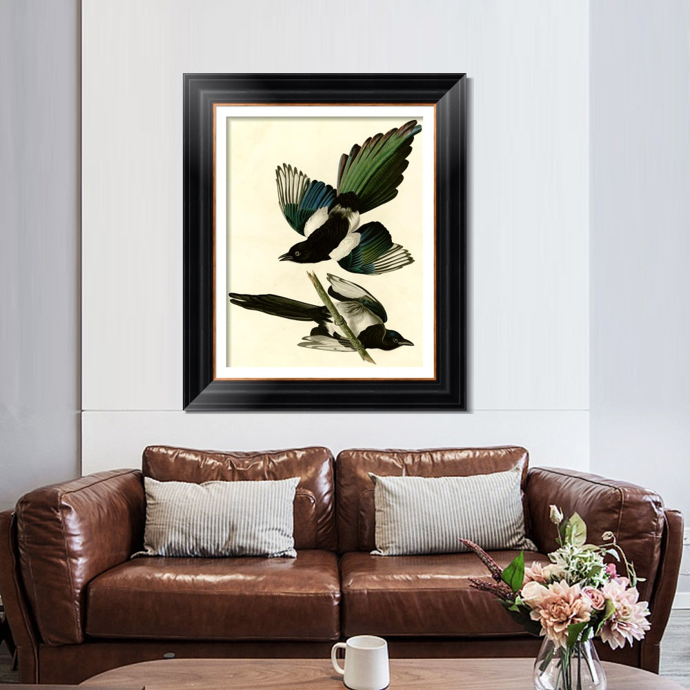 INVIN ART Framed Canvas Art Giclee Print American Magpie by John James Audubon  Home Office Wall Art Decorations