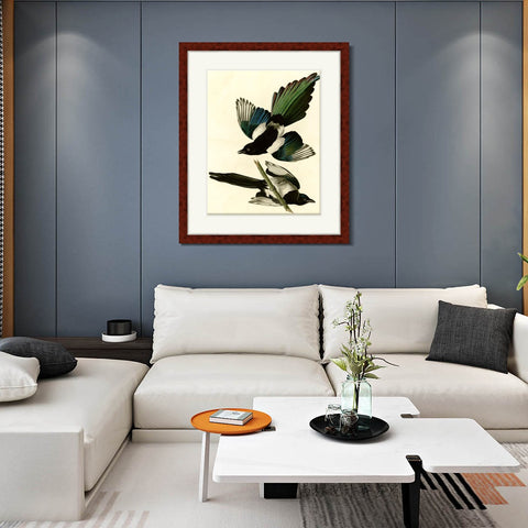 INVIN ART Framed Canvas Art Giclee Print American Magpie by John James Audubon Living Room Home Office Wall Art Decorations