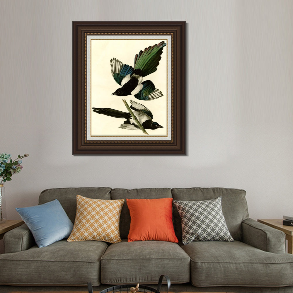 INVIN ART Framed Canvas Art Giclee Print American Magpie by John James Audubon  Home Office Wall Art Decorations