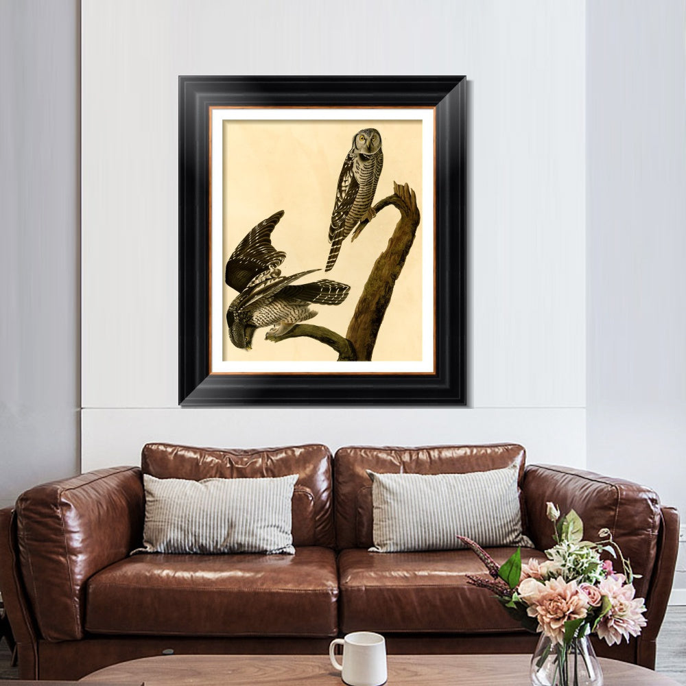 INVIN ART Framed Canvas Art Giclee Print Hawk Owl by John James Audubon  Home Office Wall Art Decorations