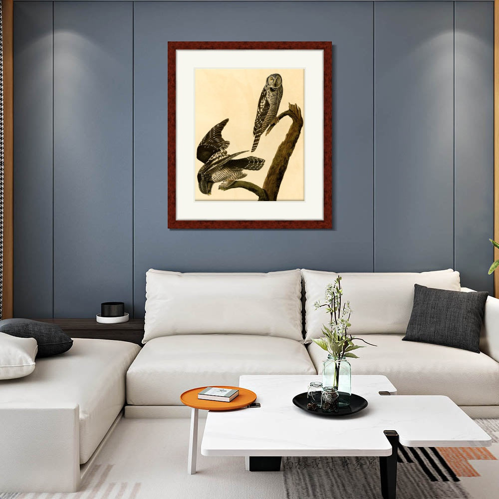INVIN ART Framed Canvas Art Giclee Print Hawk Owl by John James Audubon  Home Office Wall Art Decorations
