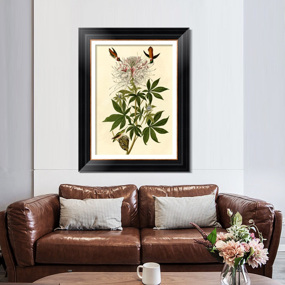 INVIN ART Framed Canvas Art Giclee Print Ruff necked Humming bird by John James Audubon  Home Office Wall Art Decorations
