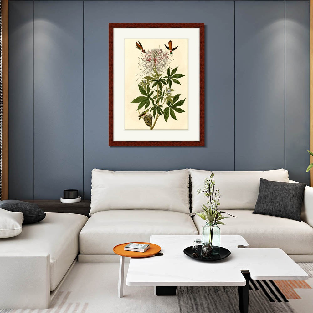 INVIN ART Framed Canvas Art Giclee Print Ruff necked Humming bird by John James Audubon  Home Office Wall Art Decorations