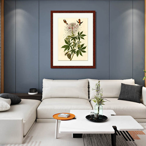 INVIN ART Framed Canvas Art Giclee Print Ruff necked Humming bird by John James Audubon Living Room Home Office Wall Art Decorations