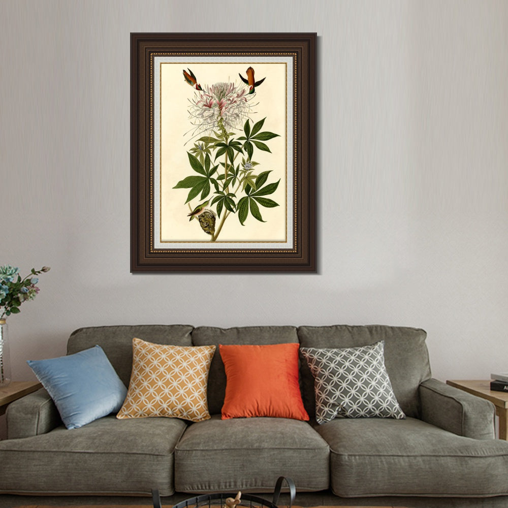 INVIN ART Framed Canvas Art Giclee Print Ruff necked Humming bird by John James Audubon  Home Office Wall Art Decorations