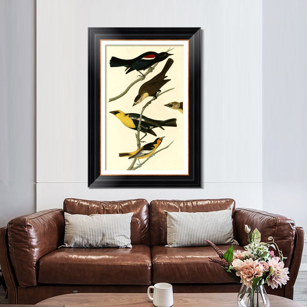 INVIN ART Framed Canvas Art Giclee Print Yellow headed Troopial by John James Audubon  Home Office Wall Art Decorations