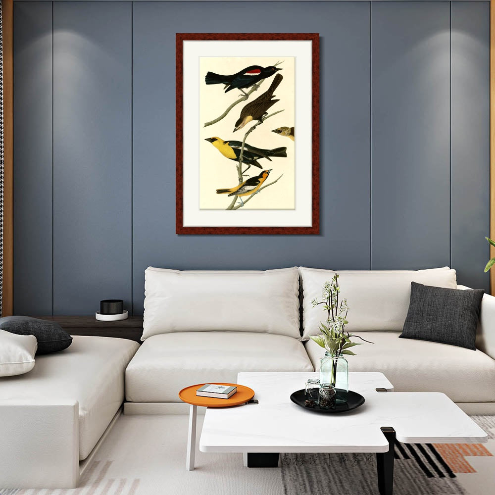 INVIN ART Framed Canvas Art Giclee Print Yellow headed Troopial by John James Audubon  Home Office Wall Art Decorations