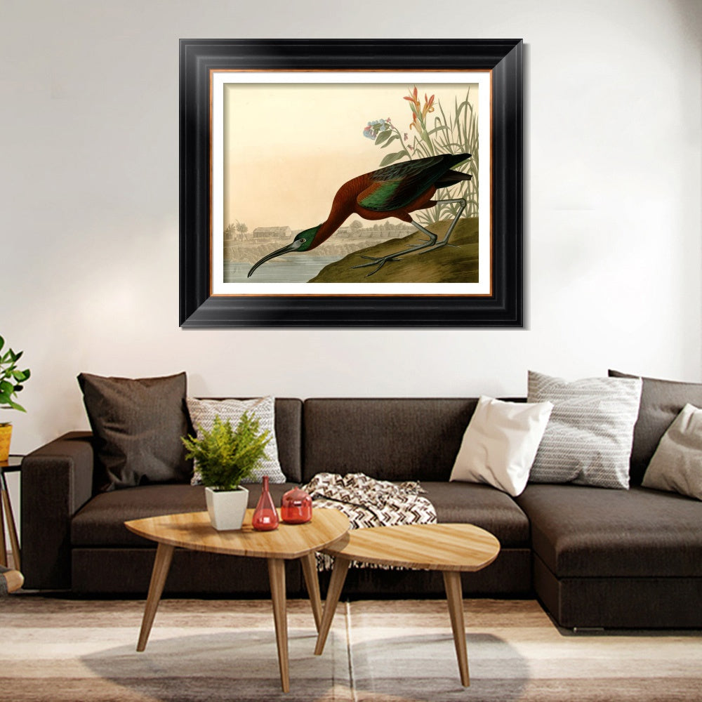 INVIN ART Framed Canvas Art Giclee Print Glossy Ibis by John James Audubon  Home Office Wall Art Decorations