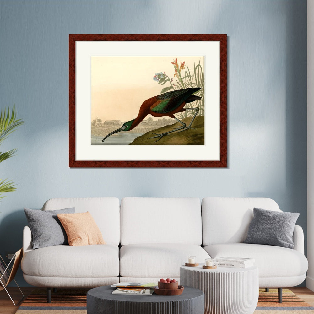 INVIN ART Framed Canvas Art Giclee Print Glossy Ibis by John James Audubon  Home Office Wall Art Decorations