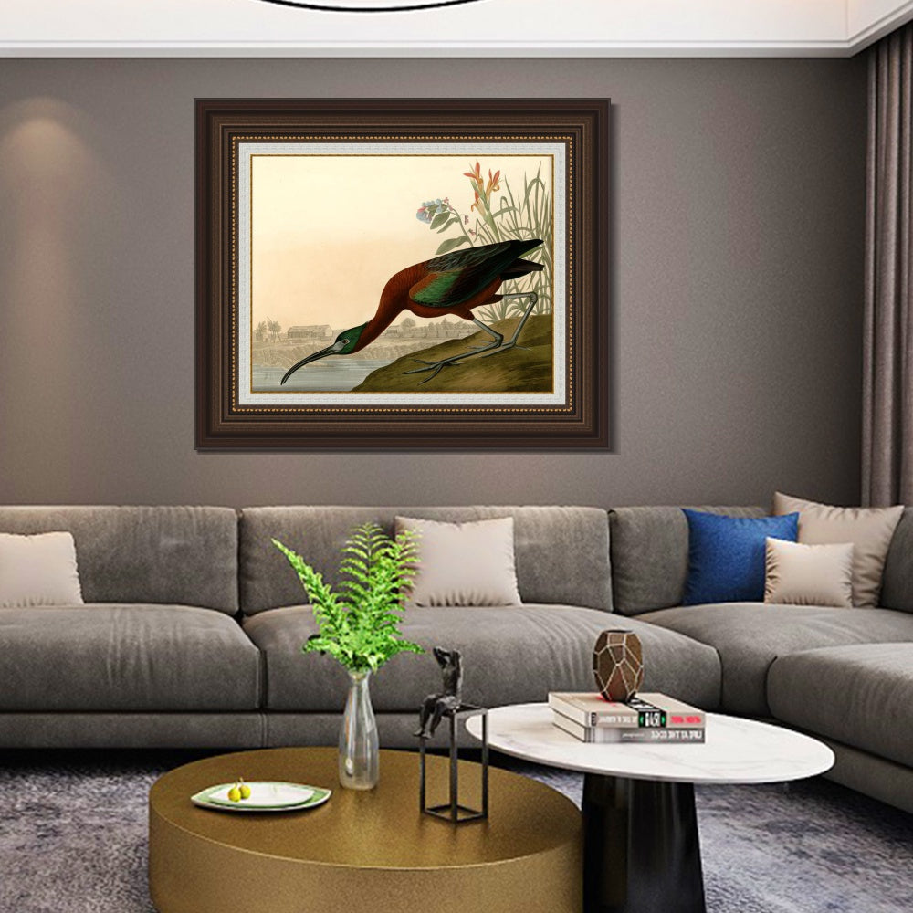 INVIN ART Framed Canvas Art Giclee Print Glossy Ibis by John James Audubon  Home Office Wall Art Decorations