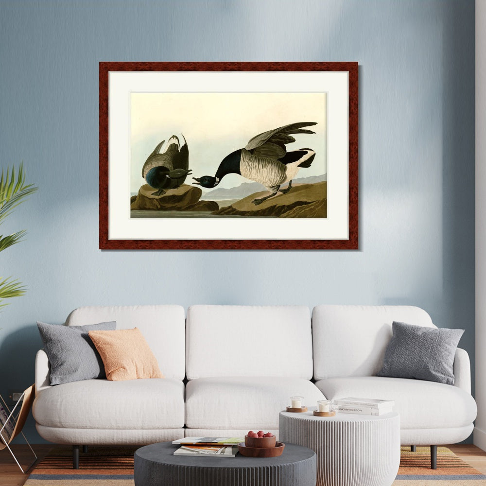 INVIN ART Framed Canvas Art Giclee Print Series#105 by John James Audubon  Home Office Wall Art Decorations
