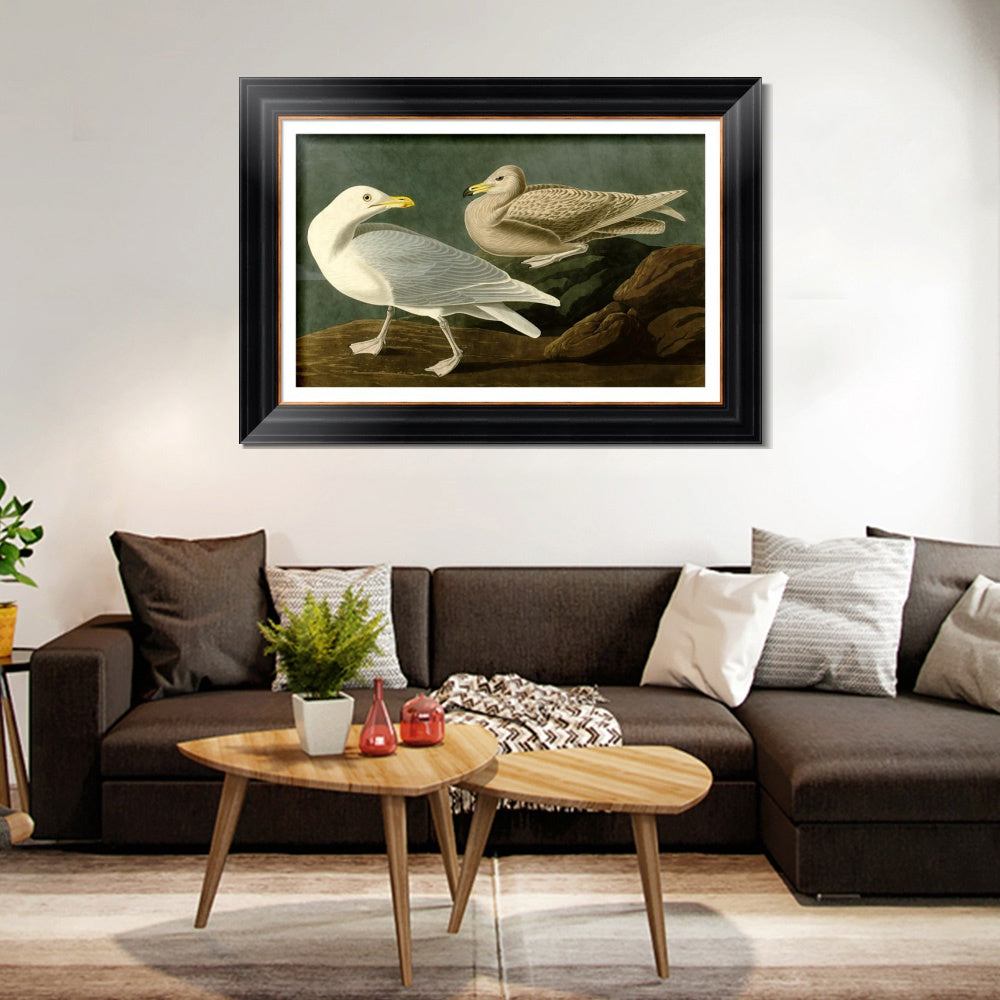 INVIN ART Framed Canvas Art Giclee Print Burgomaster Gull by John James Audubon  Home Office Wall Art Decorations