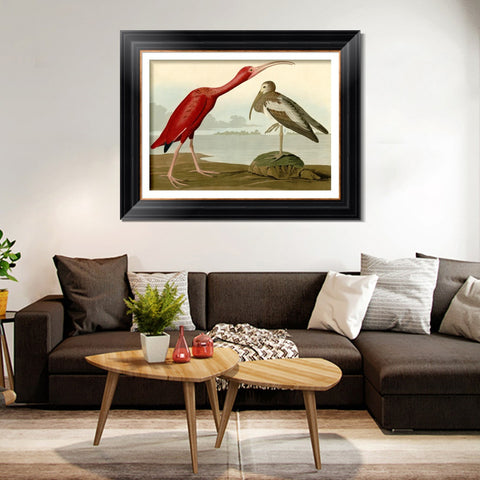 INVIN ART Framed Canvas Art Giclee Print Scarlet Ibis by John James Audubon Living Room Home Office Wall Art Decorations