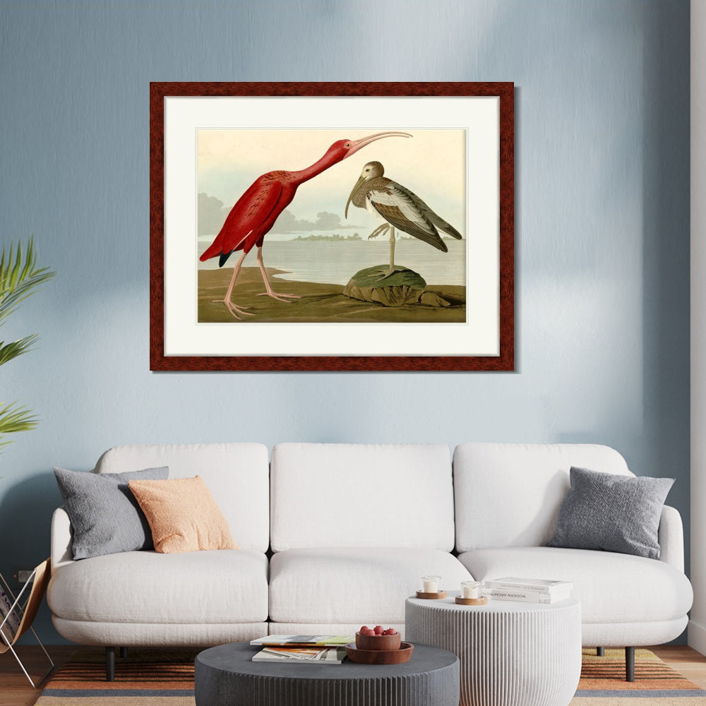 INVIN ART Framed Canvas Art Giclee Print Scarlet Ibis by John James Audubon  Home Office Wall Art Decorations