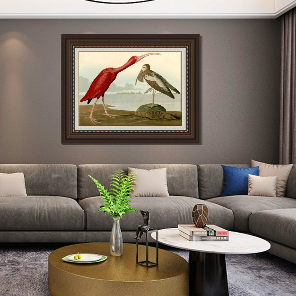 INVIN ART Framed Canvas Art Giclee Print Scarlet Ibis by John James Audubon  Home Office Wall Art Decorations