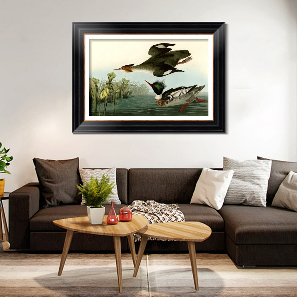 INVIN ART Framed Canvas Art Giclee Print Red breasted Merganser by John James Audubon  Home Office Wall Art Decorations