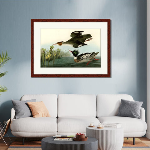 INVIN ART Framed Canvas Art Giclee Print Red breasted Merganser by John James Audubon Living Room Home Office Wall Art Decorations