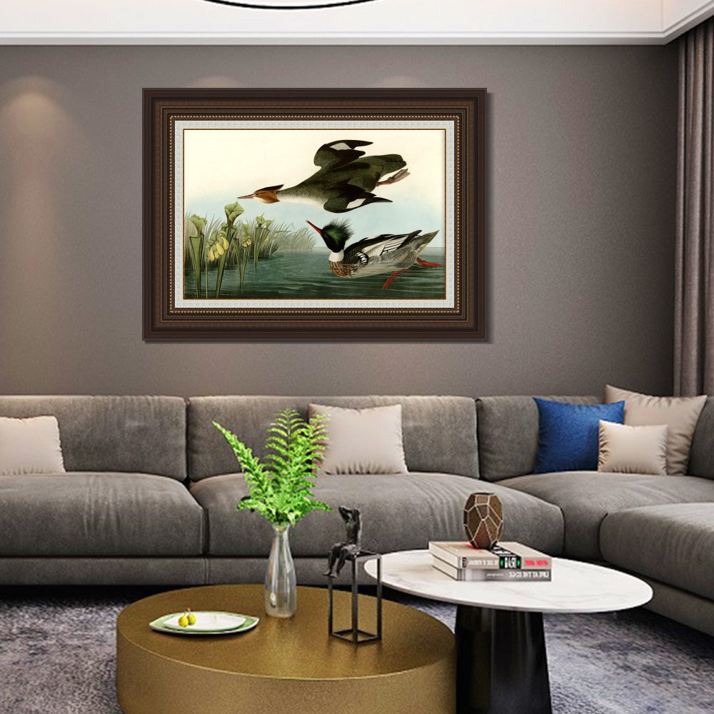 INVIN ART Framed Canvas Art Giclee Print Red breasted Merganser by John James Audubon  Home Office Wall Art Decorations