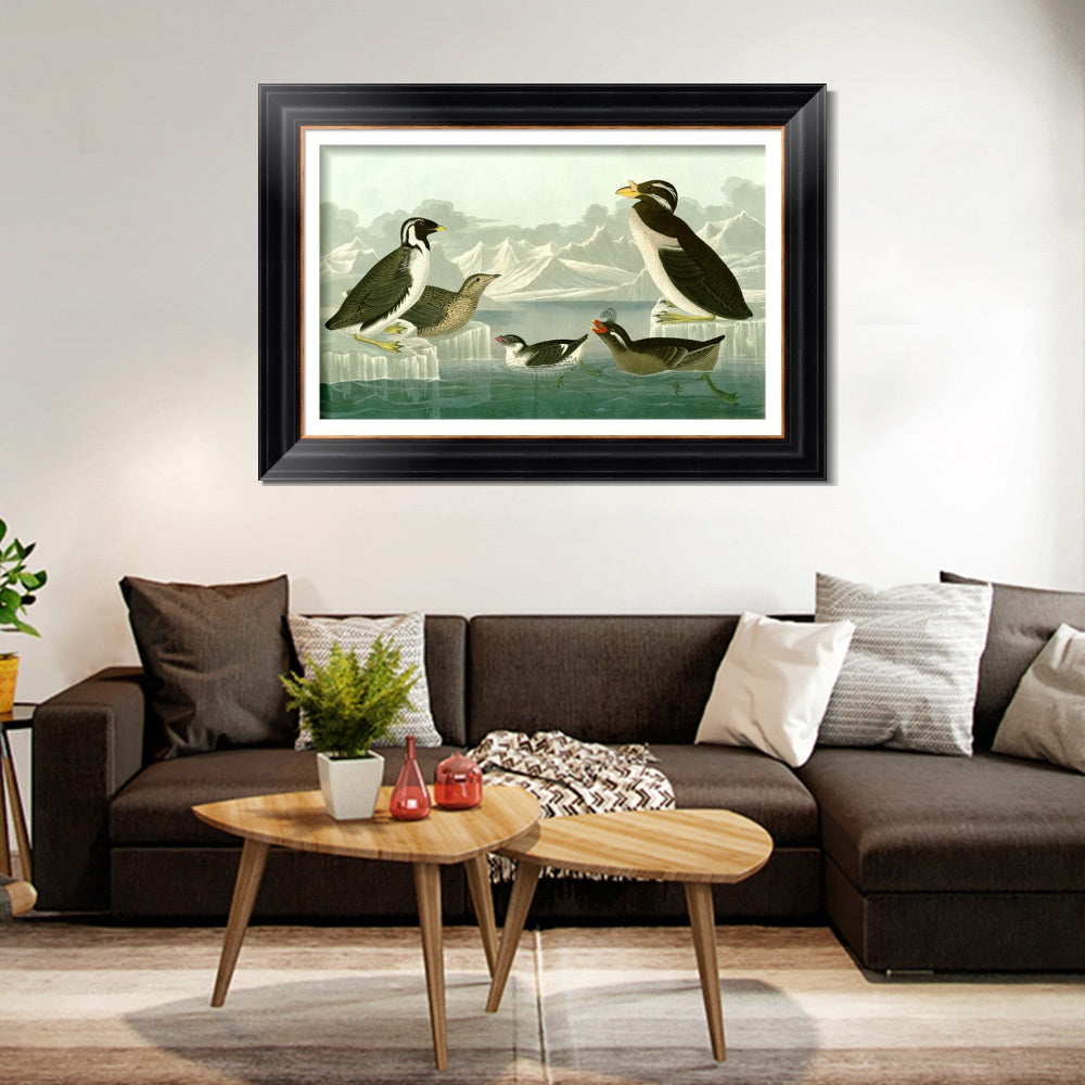 INVIN ART Framed Canvas Art Giclee Print Nobbed billed Auk by John James Audubon  Home Office Wall Art Decorations
