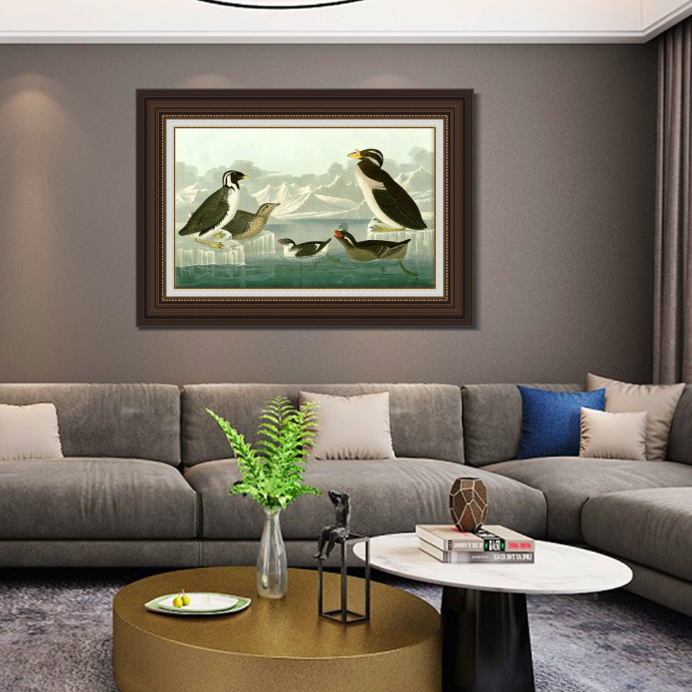 INVIN ART Framed Canvas Art Giclee Print Nobbed billed Auk by John James Audubon  Home Office Wall Art Decorations