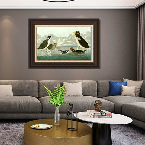 INVIN ART Framed Canvas Art Giclee Print Nobbed billed Auk by John James Audubon Living Room Home Office Wall Art Decorations
