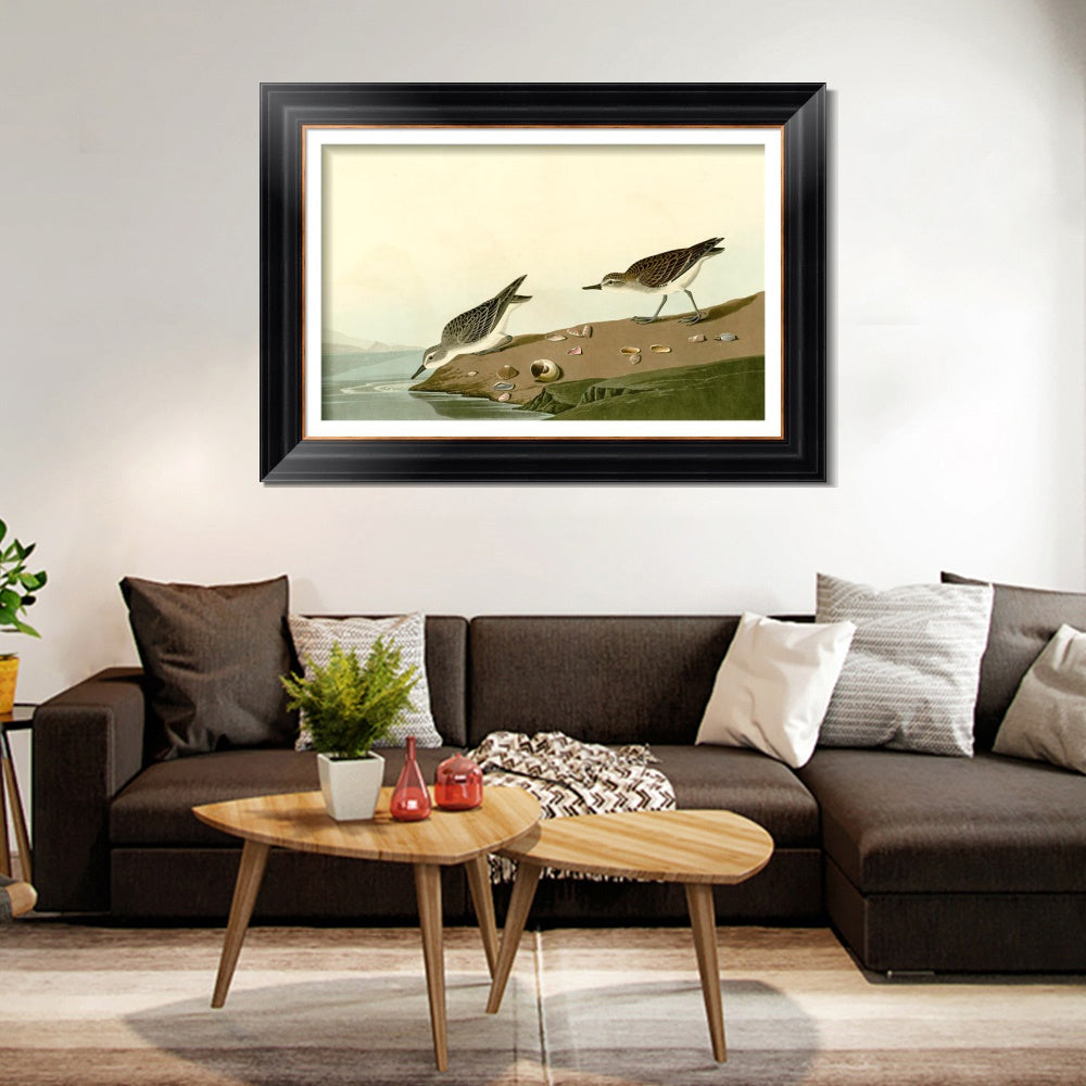 INVIN ART Framed Canvas Art Giclee Print Series#111 by John James Audubon Living Room Home Office Wall Art Decorations