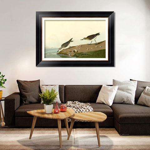 INVIN ART Framed Canvas Art Giclee Print Series#111 by John James Audubon Living Room Home Office Wall Art Decorations