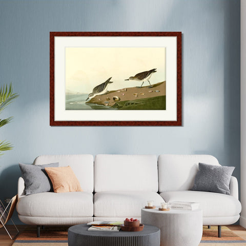 INVIN ART Framed Canvas Art Giclee Print Series#111 by John James Audubon Living Room Home Office Wall Art Decorations