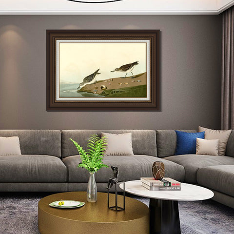 INVIN ART Framed Canvas Art Giclee Print Series#111 by John James Audubon Living Room Home Office Wall Art Decorations