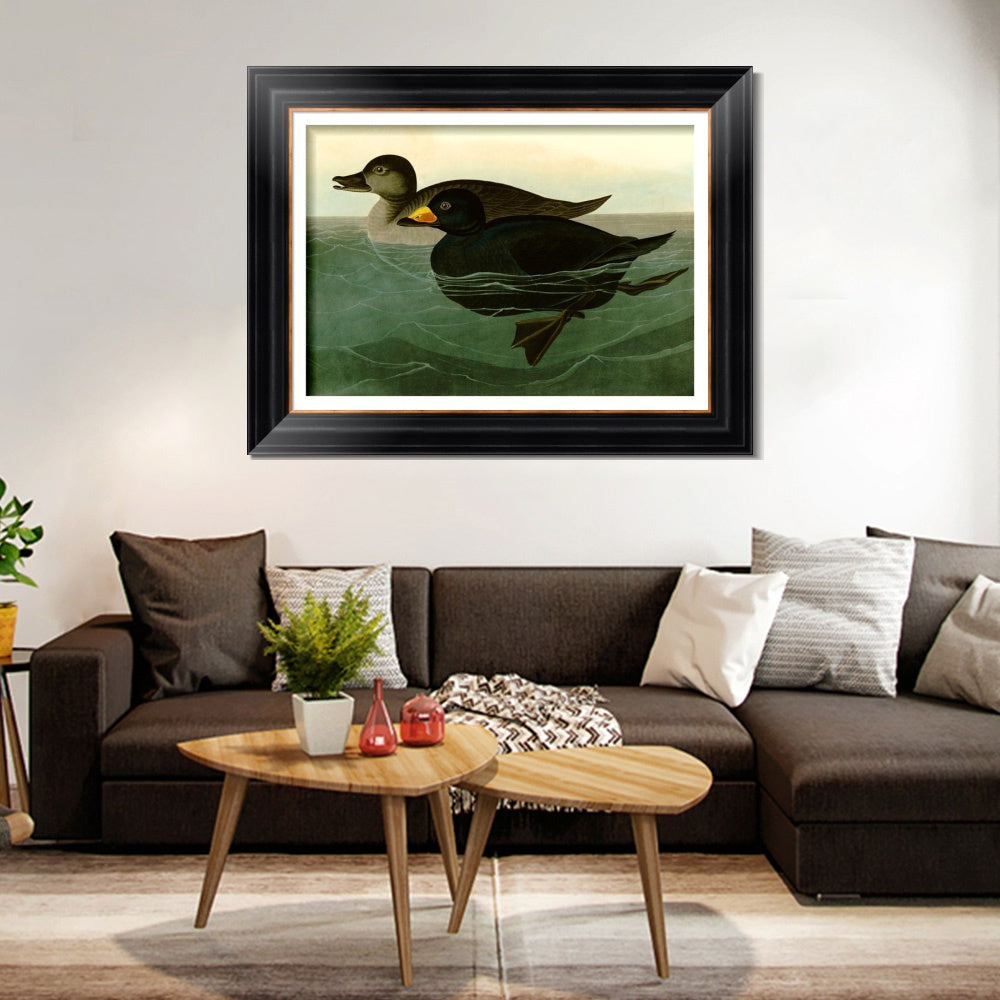 INVIN ART Framed Canvas Art Giclee Print American Scoter Duck by John James Audubon  Home Office Wall Art Decorations
