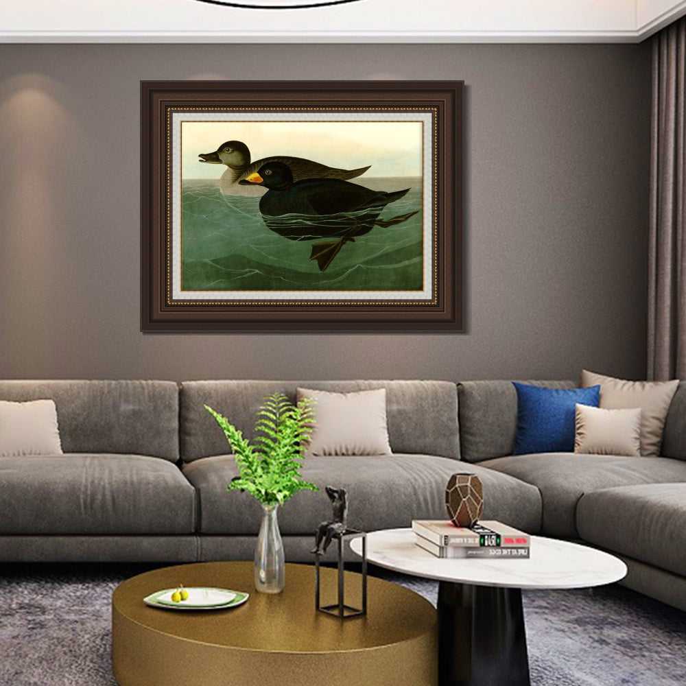 INVIN ART Framed Canvas Art Giclee Print American Scoter Duck by John James Audubon  Home Office Wall Art Decorations