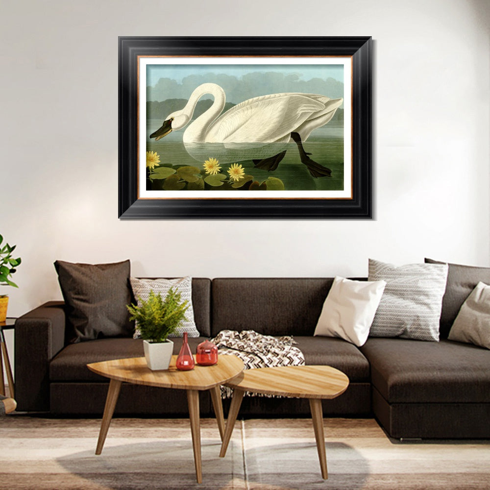 INVIN ART Framed Canvas Art Giclee Print Common American Swan by John James Audubon  Home Office Wall Art Decorations