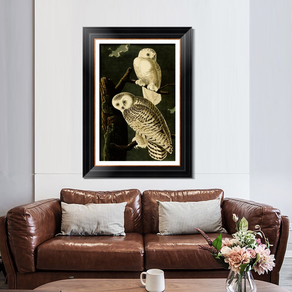 INVIN ART Framed Canvas Art Giclee Print Snowy Owl by John James Audubon  Home Office Wall Art Decorations