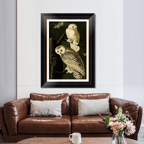 INVIN ART Framed Canvas Art Giclee Print Snowy Owl by John James Audubon Living Room Home Office Wall Art Decorations