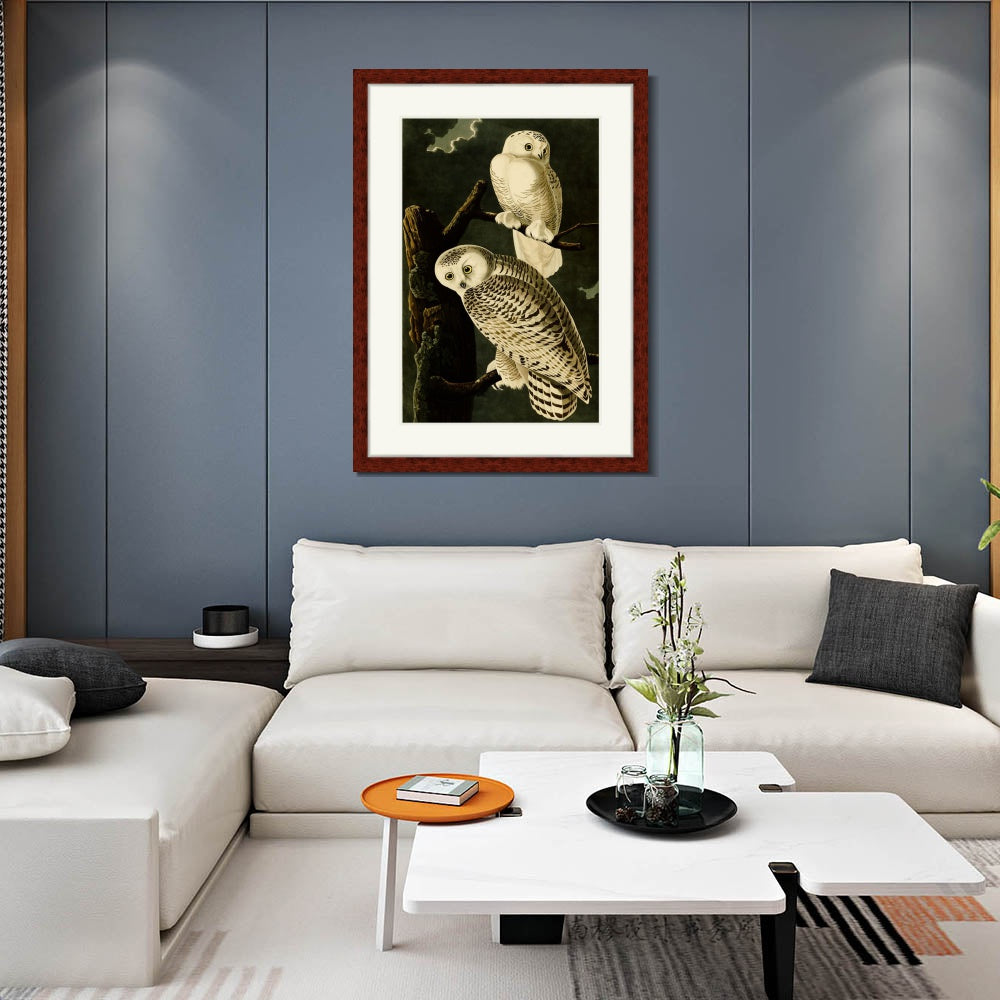 INVIN ART Framed Canvas Art Giclee Print Snowy Owl by John James Audubon  Home Office Wall Art Decorations